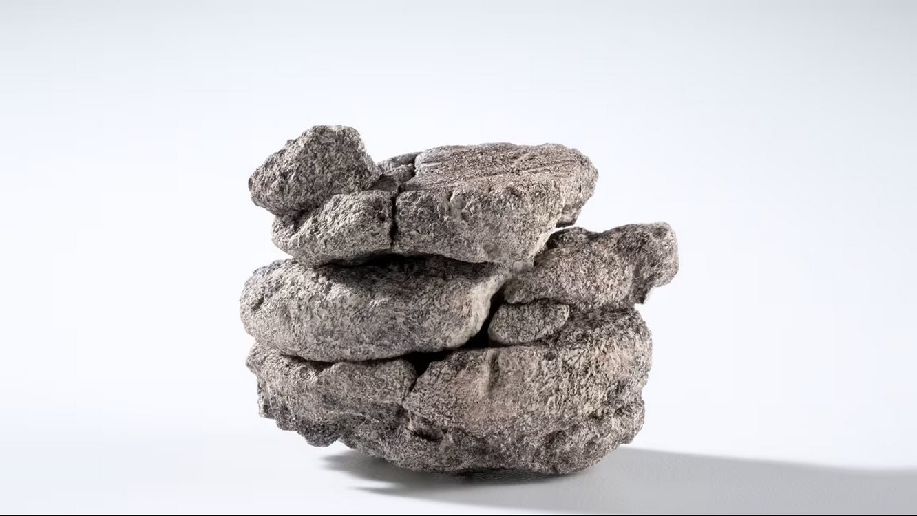 Denver Museum Finds Fossil While Drilling Underneath the Parking Lot–an ‘Infinitesimally Small’ Coincidence