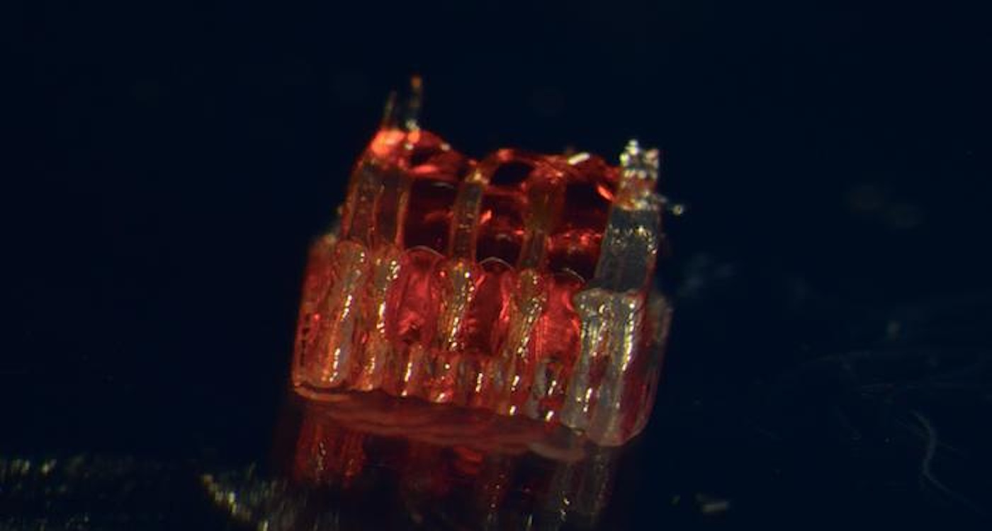 Injured Spinal Cords Repaired With Breakthrough 3D-printed ‘Scaffolding’–Team Regrows Nerves in Rats