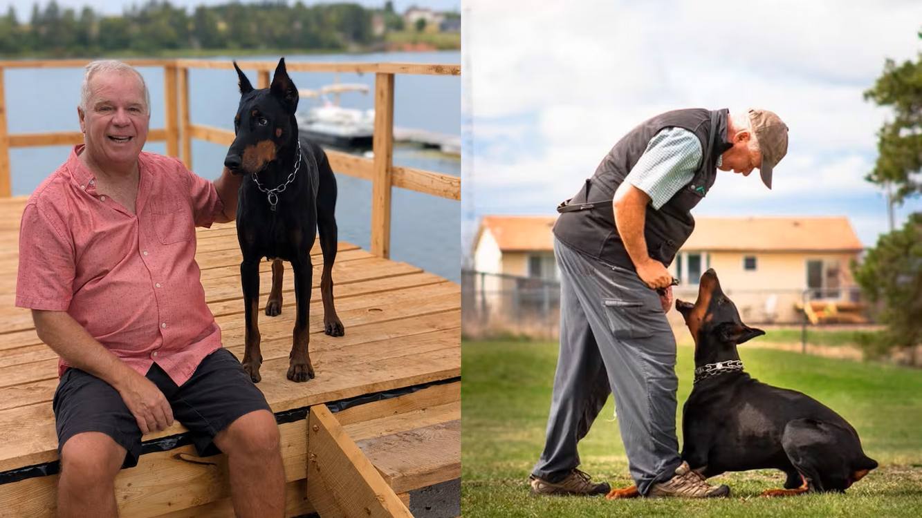 Man’s Best Friend Recognized as Dog of the Year For Saving Him from a Bear Attack