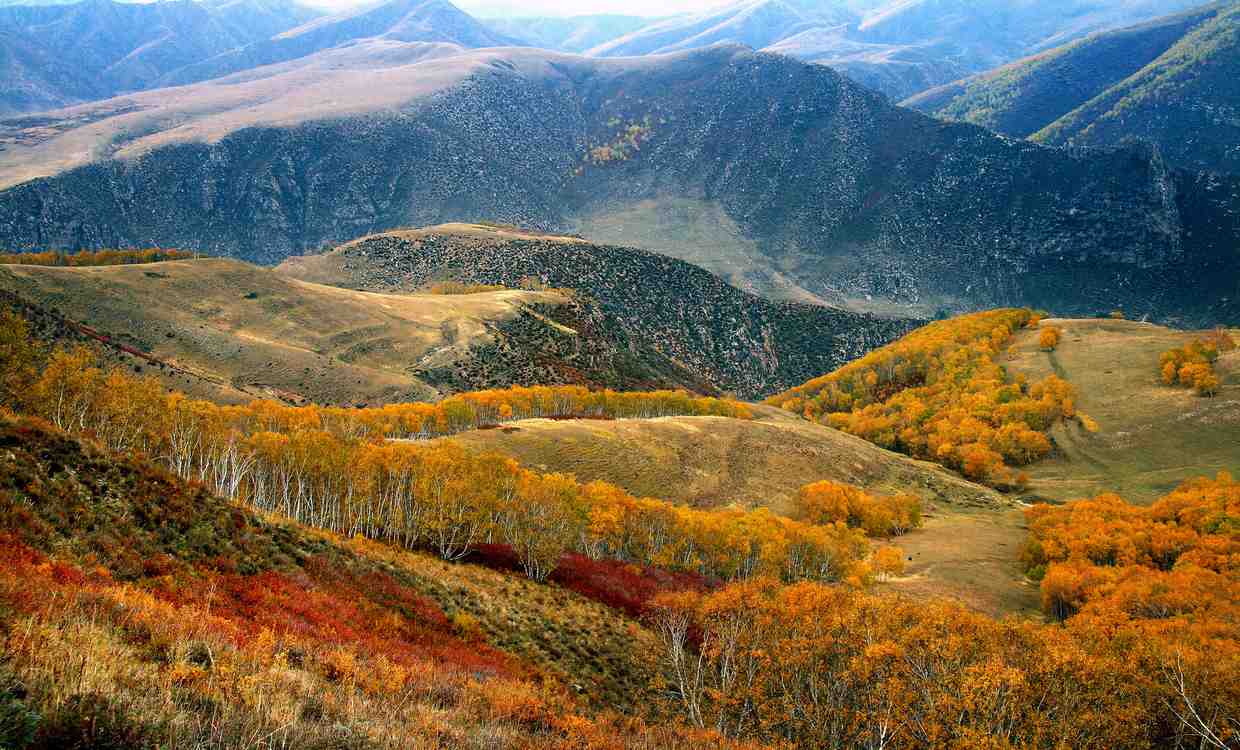 UNESCO Adds an Area the Size of Bolivia to Reserves That Protect 5% of the World’s Land