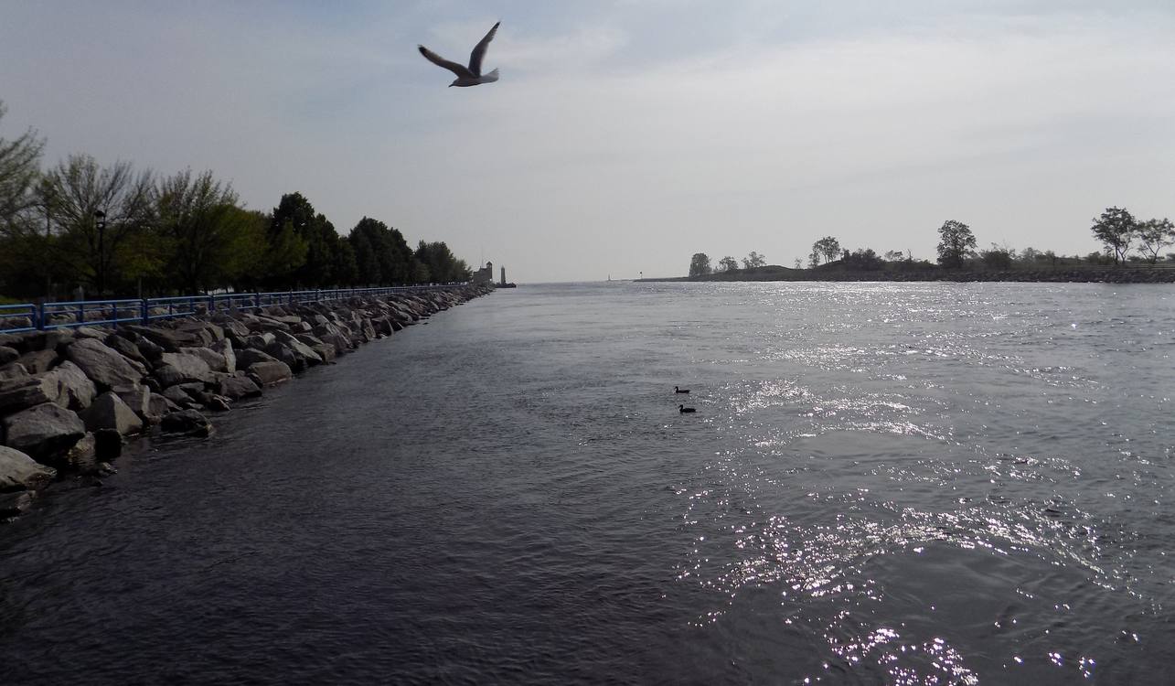 After 40 Years and $84 Million, Lake Muskegon Flourishing Free from Pollution and Sawdust