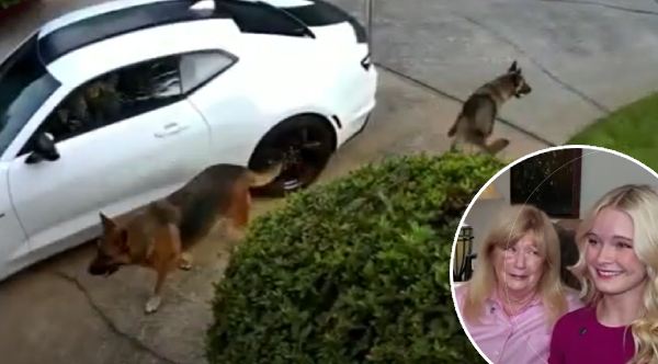and#039;Sheand#039;s Fearlessand#039;: Cheerleader Uses Makeup Mirror To Save Neighbor From Dog Attack