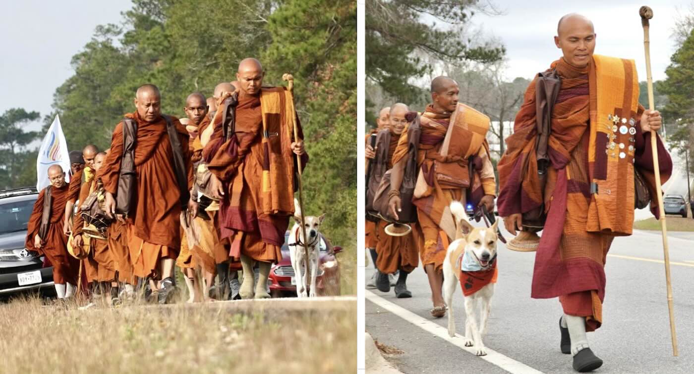 Rescue Dog Leading 19 Buddhist Monks on 2,300 Mile Peace Walk Across the US